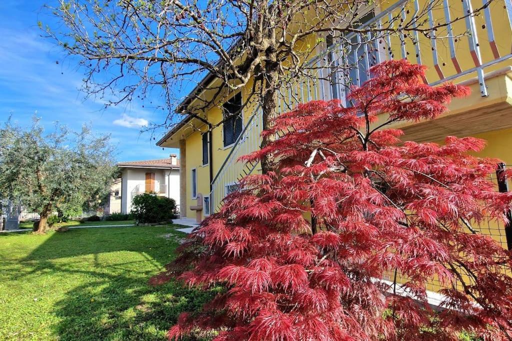 Ca' Degli Ulivi Apartment Caprino Veronese Exterior photo